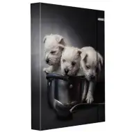 Spirit: Mali psi mapa sa gumom A/4