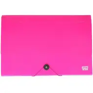 Spirit: Neon ružičasta mapa sa 12 odjeljaka A4