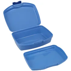 Spirit: Nogometni prvak kutija za užinu 550ml 16,8x13,5x6,5cm slika 2