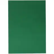 Spirit: Zeleni ukrasni karton 70x100cm