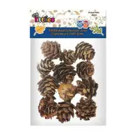 Sušeni češeri 12kom