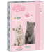 Ars Una: Slatke životinje - Čajanka, kutija za bilježnice A/5 s mačkama