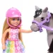 Barbie: Chelsea i set za igru s ponijem – Mattel