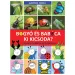 Bogyó i Baboka: Tko je tko? Likovi iz serije u prirodi - Pagony