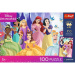 Disney princeze 100-dijelna UFT slagalica s plakatom - Trefl