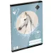 ICO: LizzySuli Wild Beauty Sport Club bilježnica bez linija A/5 20-32