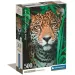 Jaguar HQC 500-dijelni Compact puzzle - Clementoni