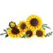 LEGO® Botanicals: Buket suncokreta (11502) slika 2
