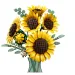 LEGO® Botanicals: Buket suncokreta (11502) slika 3