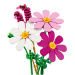 LEGO® Botanicals: Leptirasti cvjetovi (11514)