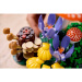LEGO® Botanicals: Šumske gljive (11505)