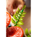 LEGO® Botanicals: Šumske gljive (11505)