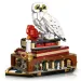 LEGO® Harry Potter: Kamen mudraca – Kolekcionarsko izdanje (76466)