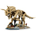 LEGO® Jurassic World™: Ostaci dinosaura: Triceratops (77985)