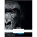Nebulo: Spajalica bilježnica s kvadratima, uzorak gorile, 87-32 A/4
