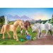 Playmobil: Konjički set Morgan, Quarter &amp; Shagya (71356)