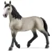 Schleich: Figura kobile pasmine Selle Français (13955)