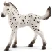 Schleich: Figura ždrijebeta Knabstrupper (13890)