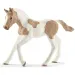Schleich: Figura ždrijebeta Paint konja (13886)