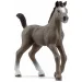 Schleich: Figura ždrijebeta pasmine Cheval de Selle (13957)