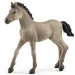 Schleich: Figura ždrijebeta pasmine Criollo Definitivo (13949)