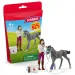 Schleich: Set za njegu konja s Trakehner ždrebetom (42752)