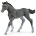 Schleich: Trakehner ždrijebe figura (13944)