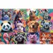 Smiješni portreti životinja, puzzle od 300 dijelova - Trefl