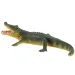 Aligator figura