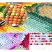 Dijamantni mozaik: Rimski Koloseum dijamantni set 30x40cm slika 3
