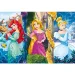 Disney Princeze Maxi puzzle 60kom - Clementoni