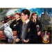 Harry Potter - Na vratima Hogvorts 1000 komada puzzle s posterom - Clementoni slika 2