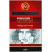 ICO: Progresso grafitna olovka 8911/8B 12kom Koh-I-Noor slika 1
