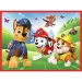 Paw Patrol 2 u 1 puzzle i igra memorije - Trefl