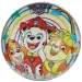 Paw Patrol BioBall gumena lopta 23cm