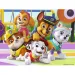 Paw Patrol puzzle od 30kom - Trefl