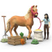 Schleich: Horse Club Emily set za njegu konja (42797)