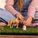 Schleich: Horse Club Emily set za njegu konja (42797)