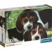 Slatki psići HQC 500-dijelni kompaktni puzzle - Clementoni