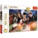 Wizarding World: Tajanstveni Harry Potter puzzle 300kom - Trefl